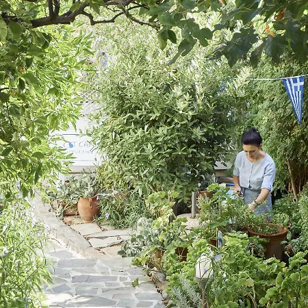 Villa Ippocampi - Adults Only-3